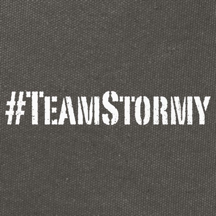 Team Stormy TeamStormy Team Stormy I'm With Her Premium Cotton Canvas Backpack