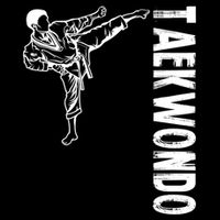Tkd Sports Taekwondo Gift Flat Bill Trucker Hat