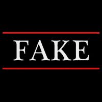 That Says The Word Fake On It City Backpack