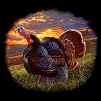 The Sunrise Turkey Mug