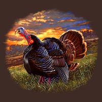 The Sunrise Turkey T-Shirt