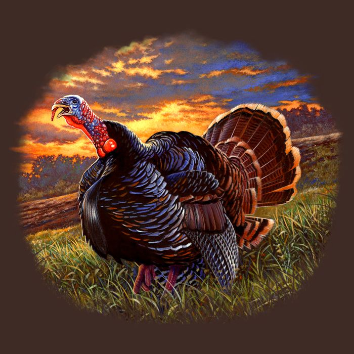 The Sunrise Turkey T-Shirt