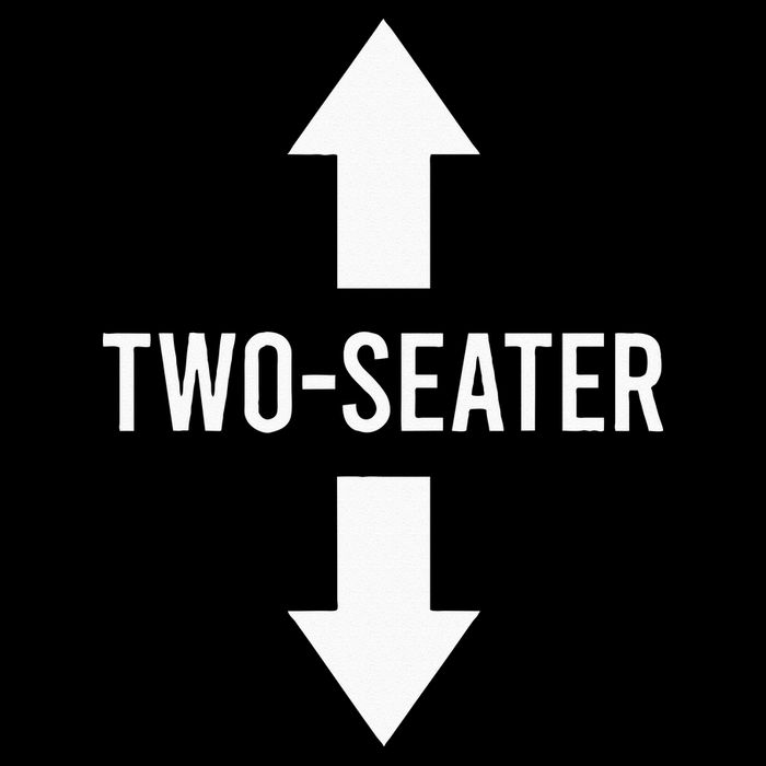 Two Seater TwoSeater 2 Seater Two Seater Cooling Performance Crew T-Shirt