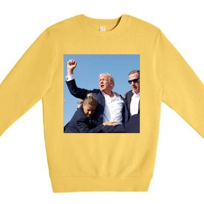 Trump Shooting Trump 2024 Ill Never Stop Fighting For My Country Premium Crewneck Sweatshirt