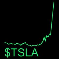 TSLA Stock City Backpack