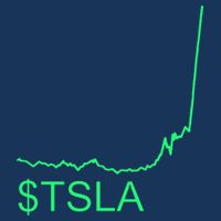 TSLA Stock Flat Bill Trucker Hat