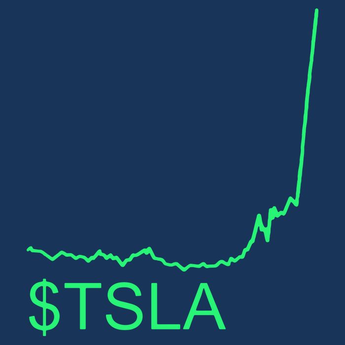 TSLA Stock Flat Bill Trucker Hat