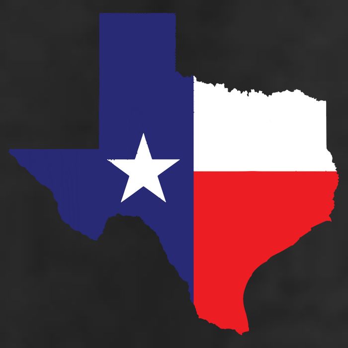 Texas State Usa Distressed Flag Grunge Texas 7 Panel Mesh Trucker Snapback Hat