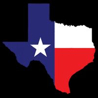 Texas State Usa Distressed Flag Grunge Texas 16 in Basic Backpack