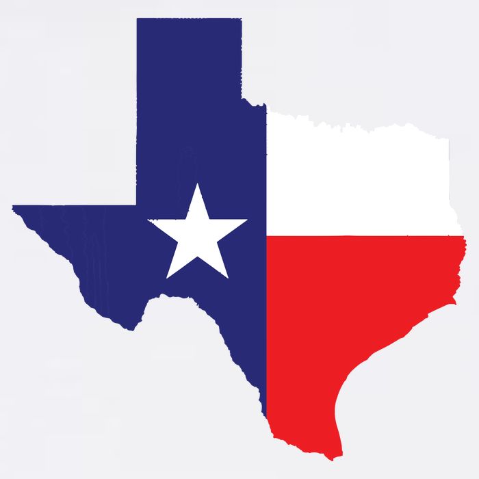 Texas State Usa Distressed Flag Grunge Texas Cool Comfort Performance Bucket Hat
