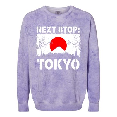 Tokyo Summer Vacation Trip Next Stop Vacay Vibes Souvenir Meaningful Gift Colorblast Crewneck Sweatshirt