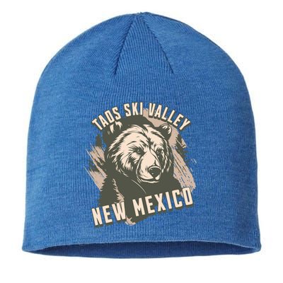 Taos Ski Valley New Mexico Bear Meaningful Gift Sustainable Beanie