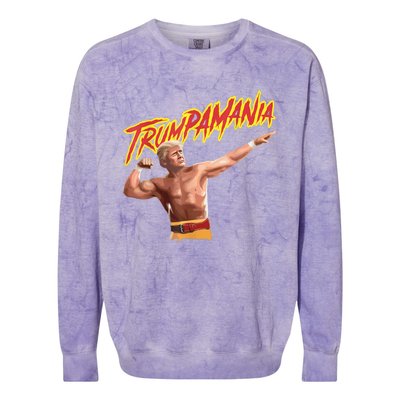 Trumpamania Trump 2024 Colorblast Crewneck Sweatshirt