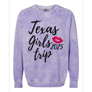 Texas Trip 2025 Houston Vacation Fun Matching Group Colorblast Crewneck Sweatshirt