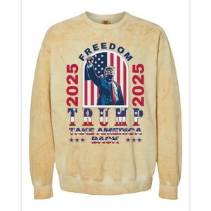 Trump Take America Back 2024  Freedom And Safety Colorblast Crewneck Sweatshirt