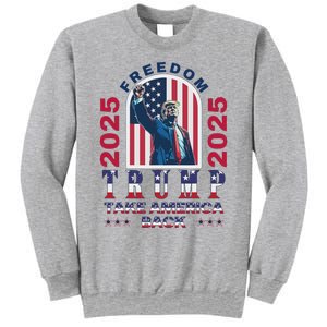 Trump Take America Back 2024  Freedom And Safety Sweatshirt