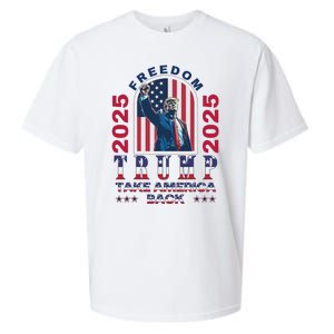 Trump Take America Back 2024  Freedom And Safety Sueded Cloud Jersey T-Shirt