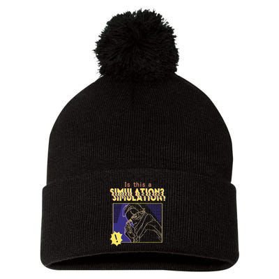 This This A Simulation Pom Pom 12in Knit Beanie