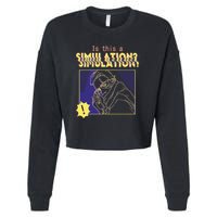 This This A Simulation Cropped Pullover Crew