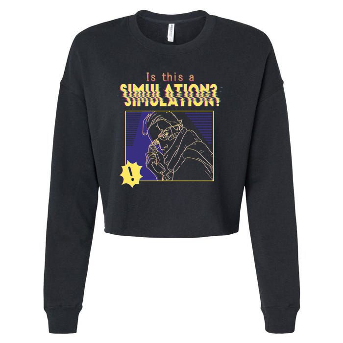 This This A Simulation Cropped Pullover Crew