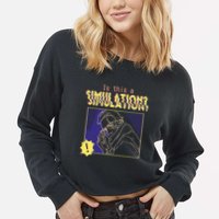 This This A Simulation Cropped Pullover Crew