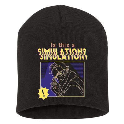 This This A Simulation Short Acrylic Beanie