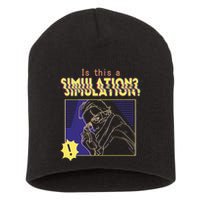 This This A Simulation Short Acrylic Beanie
