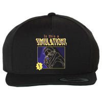 This This A Simulation Wool Snapback Cap