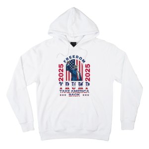 Trump Take America Back 2024  Freedom And Safety Hoodie