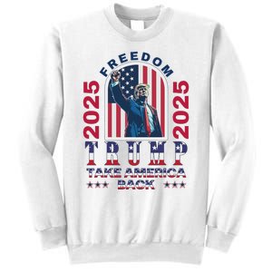 Trump Take America Back 2024  Freedom And Safety Sweatshirt