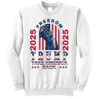 Trump Take America Back 2024  Freedom And Safety Sweatshirt