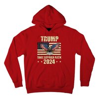 Trump Take America Back 2024 Hoodie