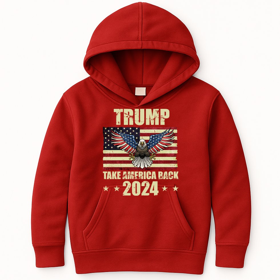 Trump Take America Back 2024 Kids Hoodie