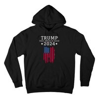 Donald Trump 2024 Take America Back USA United States Hoodie