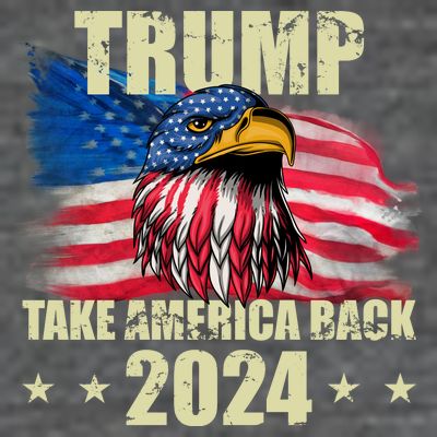 Trump Take America Back 2024 Eagle Usa Flag T-Shirt