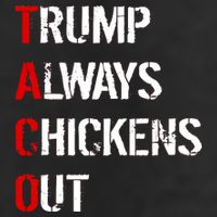 Taco Trump Always Chickens Out Adult Drive Performance Visor