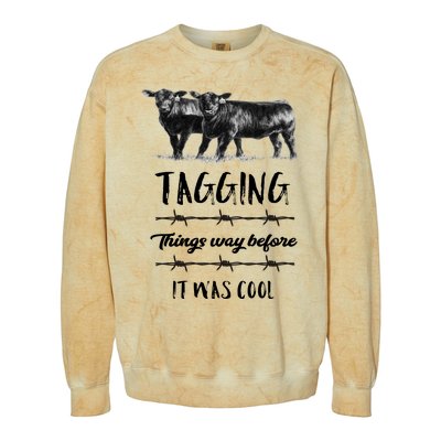 Tagging Things Before It Was Cool Great Gift Black Angus Gift Colorblast Crewneck Sweatshirt