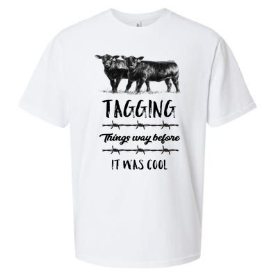 Tagging Things Before It Was Cool Great Gift Black Angus Gift Sueded Cloud Jersey T-Shirt