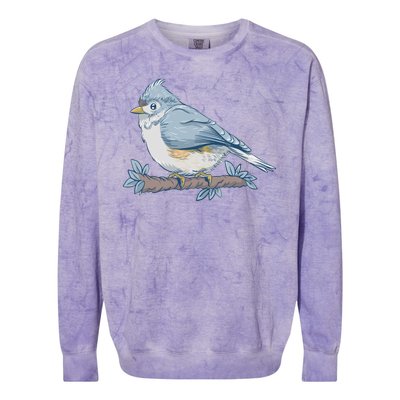 Tufted Titmouse Bird Cute Gift Colorblast Crewneck Sweatshirt