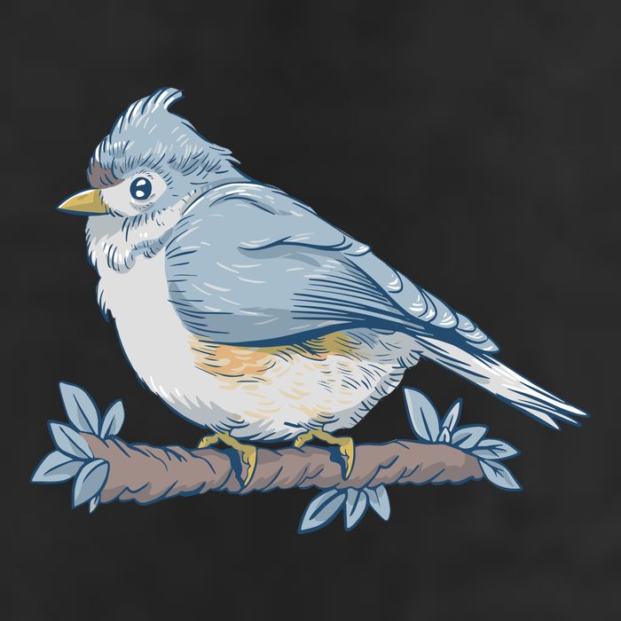 Tufted Titmouse Bird Cute Gift Adult Drive Performance Visor