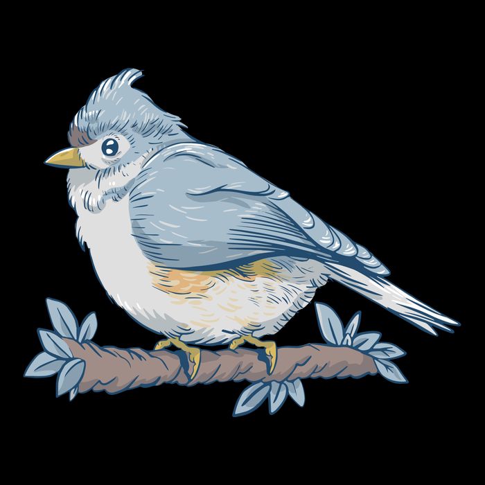 Tufted Titmouse Bird Cute Gift Bucket Hat