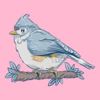 Tufted Titmouse Bird Cute Gift Hoodie