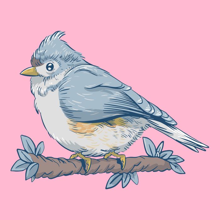 Tufted Titmouse Bird Cute Gift Hoodie