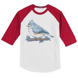 Tufted Titmouse Bird Cute Gift Kids Colorblock Raglan Jersey