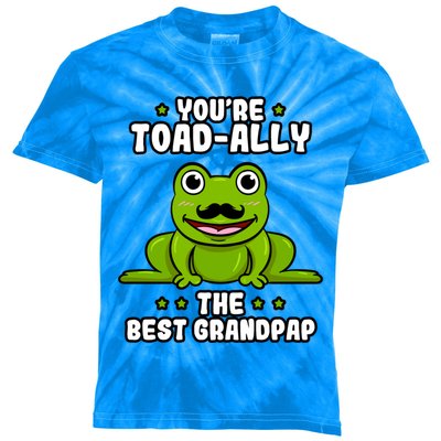 Toadgiftally The Best Grandpap Frog Lover Toad Grandfather Gift Kids Tie-Dye T-Shirt