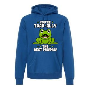 Toadgiftally The Best Pawpaw Frog Lover Toad Grandfather Gift Premium Hoodie