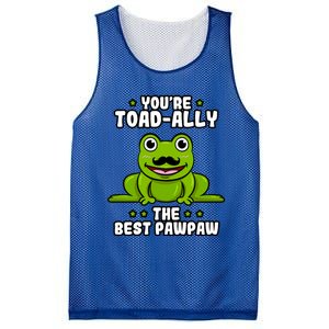 Toadgiftally The Best Pawpaw Frog Lover Toad Grandfather Gift Mesh Reversible Basketball Jersey Tank