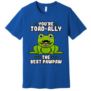 Toadgiftally The Best Pawpaw Frog Lover Toad Grandfather Gift Premium T-Shirt