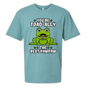 Toadgiftally The Best Pawpaw Frog Lover Toad Grandfather Gift Sueded Cloud Jersey T-Shirt