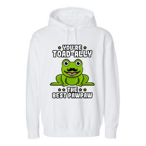 Toadgiftally The Best Pawpaw Frog Lover Toad Grandfather Gift Garment-Dyed Fleece Hoodie